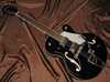 Gretsch G5120 BL.jpg